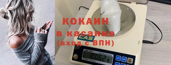 твердый Бородино