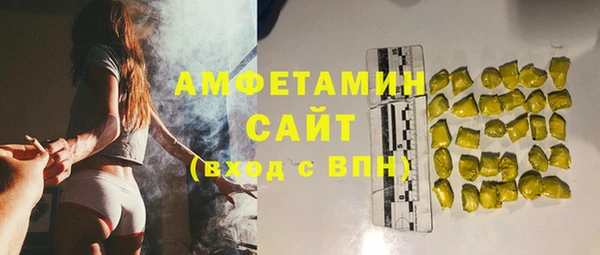 твердый Бородино