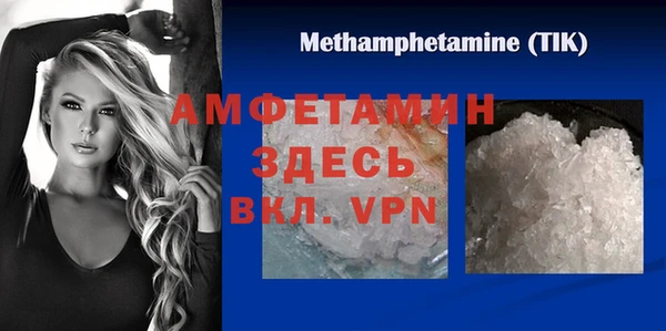 твердый Бородино