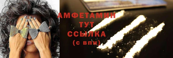 твердый Бородино