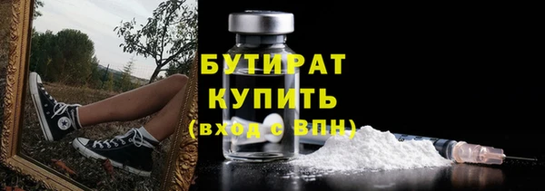 твердый Бородино