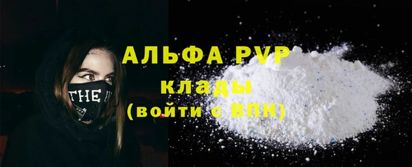 твердый Бородино