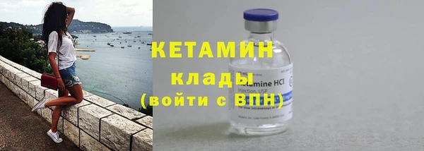 твердый Бородино