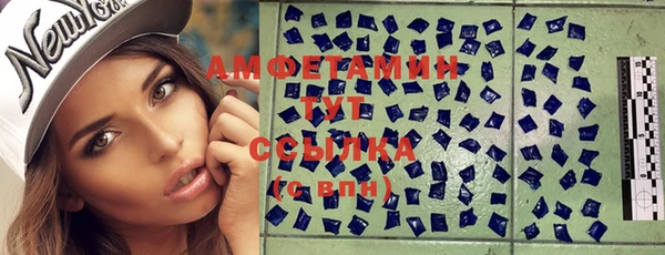 твердый Бородино