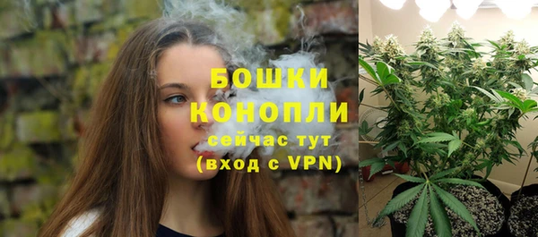 твердый Бородино