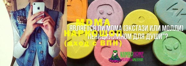 твердый Бородино